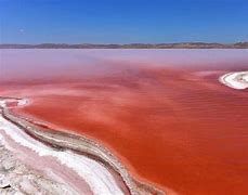 Laut Merah Berada Di Kota