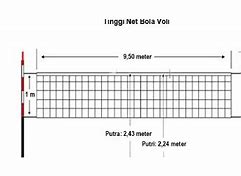Tinggi Net Voli Putra Adalah